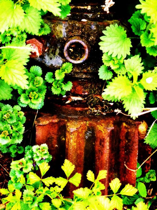 Maschine, Brennnessel und Gundermann. Anke Laufer, 2012