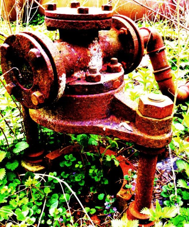 Foto: Anke Laufer, 2012