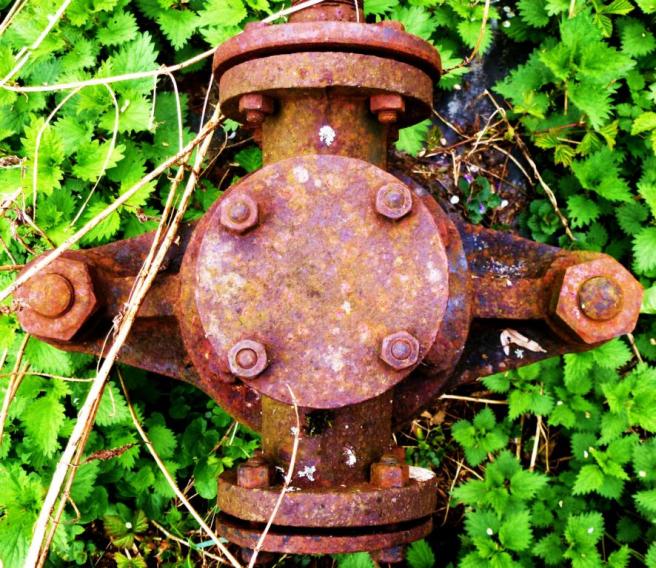 Foto: Anke Laufer, 2012