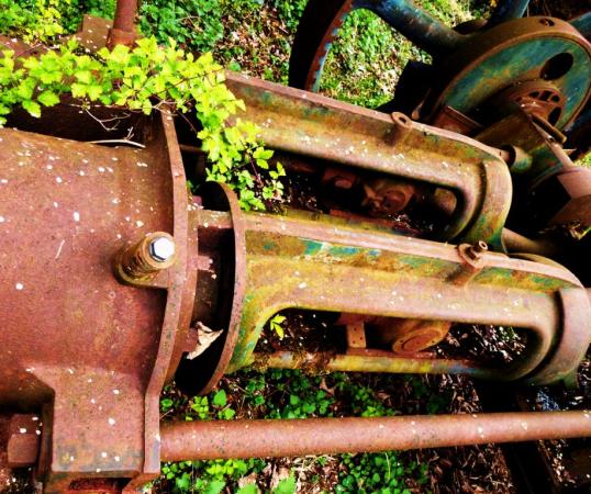 Foto: Anke Laufer, 2012