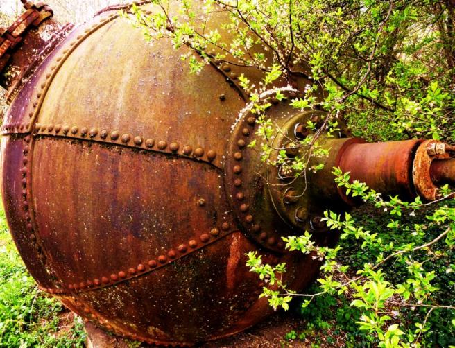 Foto: Anke Laufer, 2012