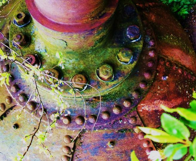 Foto: Anke Laufer, 2012