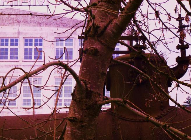 Foto: Anke Laufer, 2012